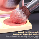 BEAKEY Pinceaux Maquillages Professionnel, Pinceau Maquillage Pour Fond de Teint Blush L'anti-cernes Fard à Paupières Poudre Libre, Avec Blender Eponge(10+2pcs, Noir/Argent)